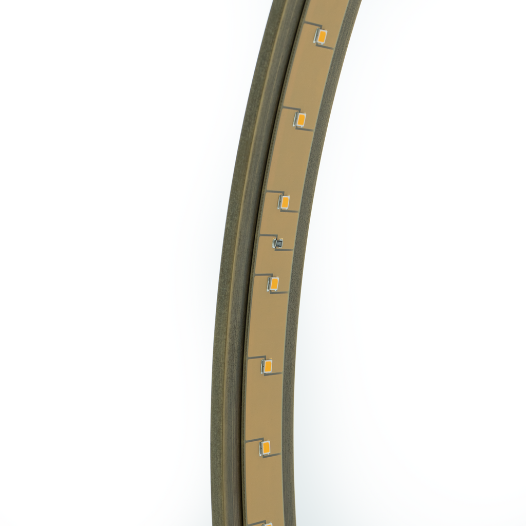 Classic Ring Table Lamp